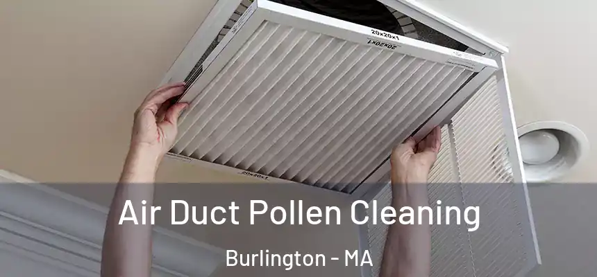  Air Duct Pollen Cleaning Burlington - MA