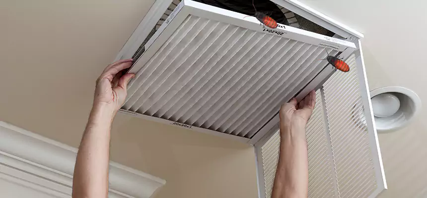 Preventive Cockroach-Proofing for Ducts in Burlington