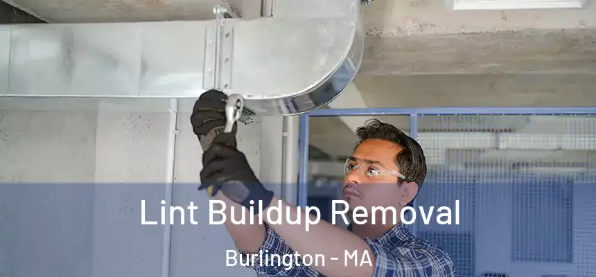  Lint Buildup Removal Burlington - MA