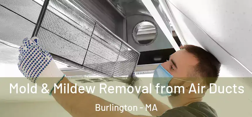  Mold & Mildew Removal from Air Ducts Burlington - MA
