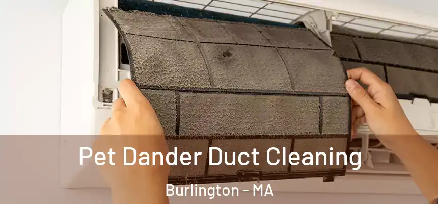 Pet Dander Duct Cleaning Burlington - MA