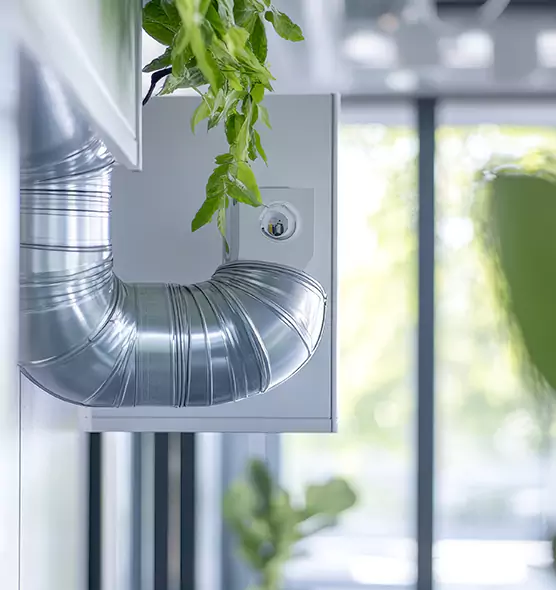 Professional Eco-Safe Dryer Vent Cleaning in Burlington, MA