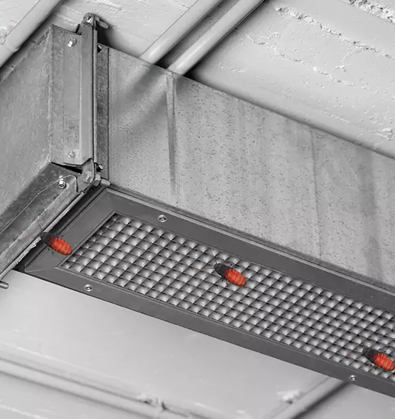 Affordable Insect Removal from Air Ducts in Burlington, MA