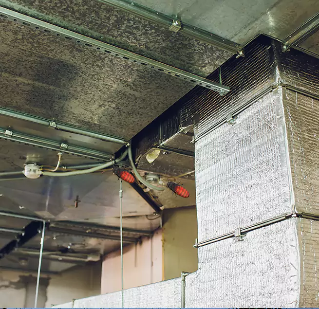 Why Homeowners & Businesses Trust Us in Burlington, MA?