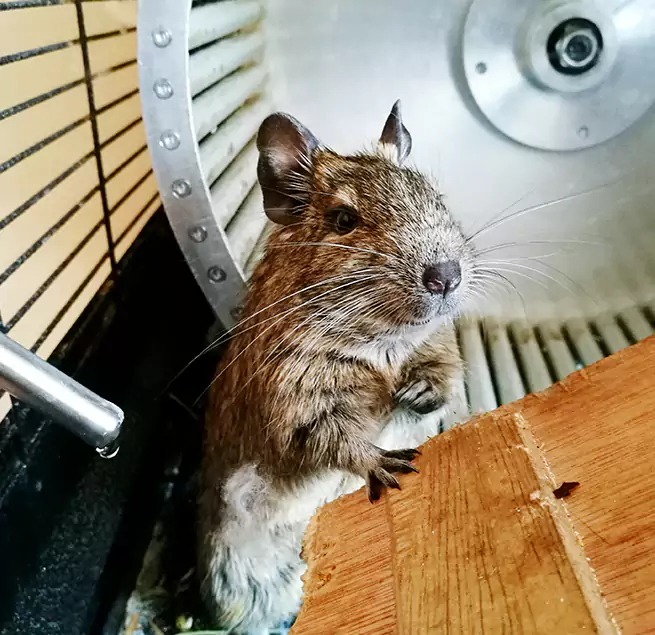 Why Homeowners & Businesses Trust Us Burlington, MA?